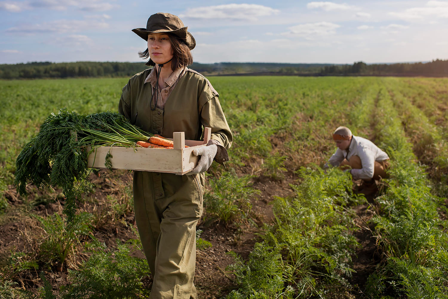 MTD for Agriculture and Farming