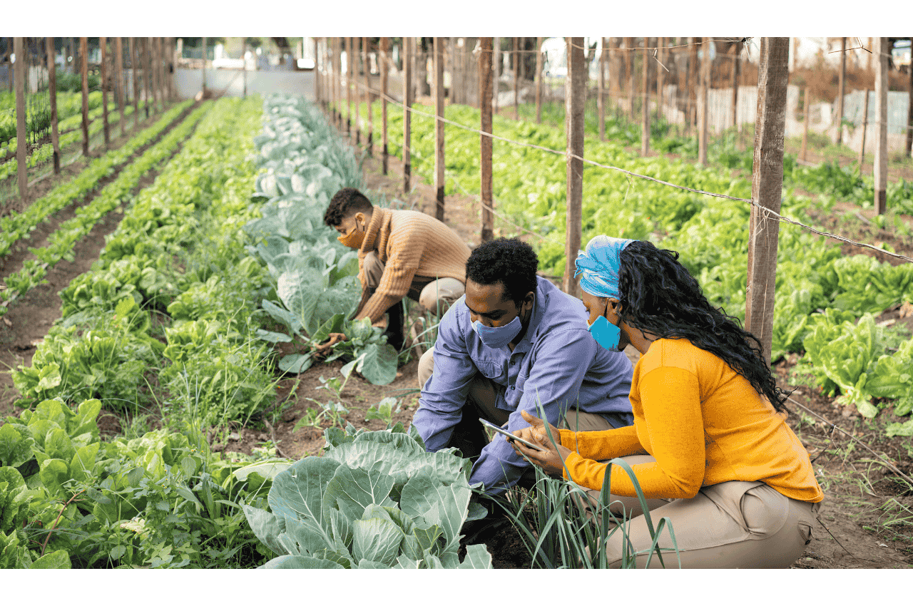 Making Tax Digital for Farmers: The Complete Guide to MTD for Agriculture (2026)